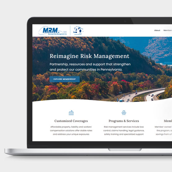 risk management website
